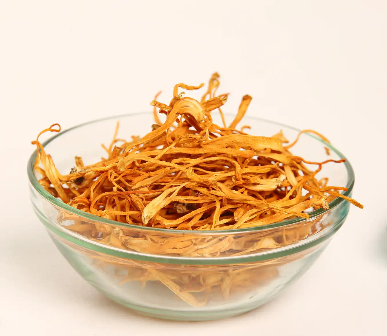 Cordyceps militær
