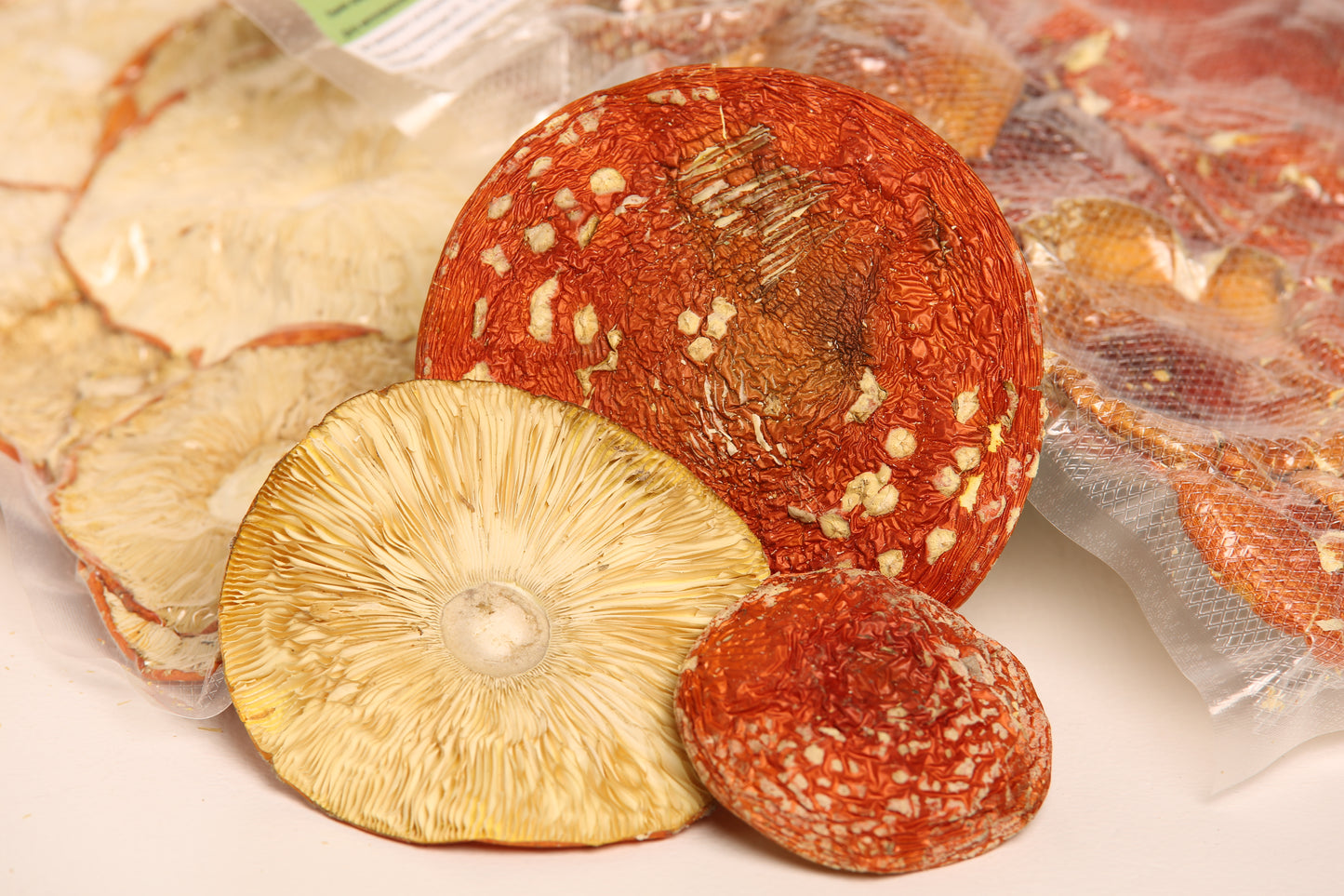 Amanita muscaria - grade A