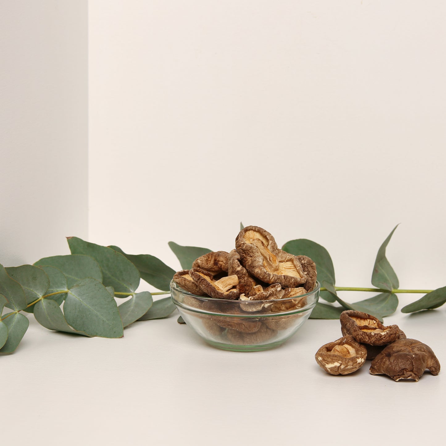 Økologisk Shiitake-sopp