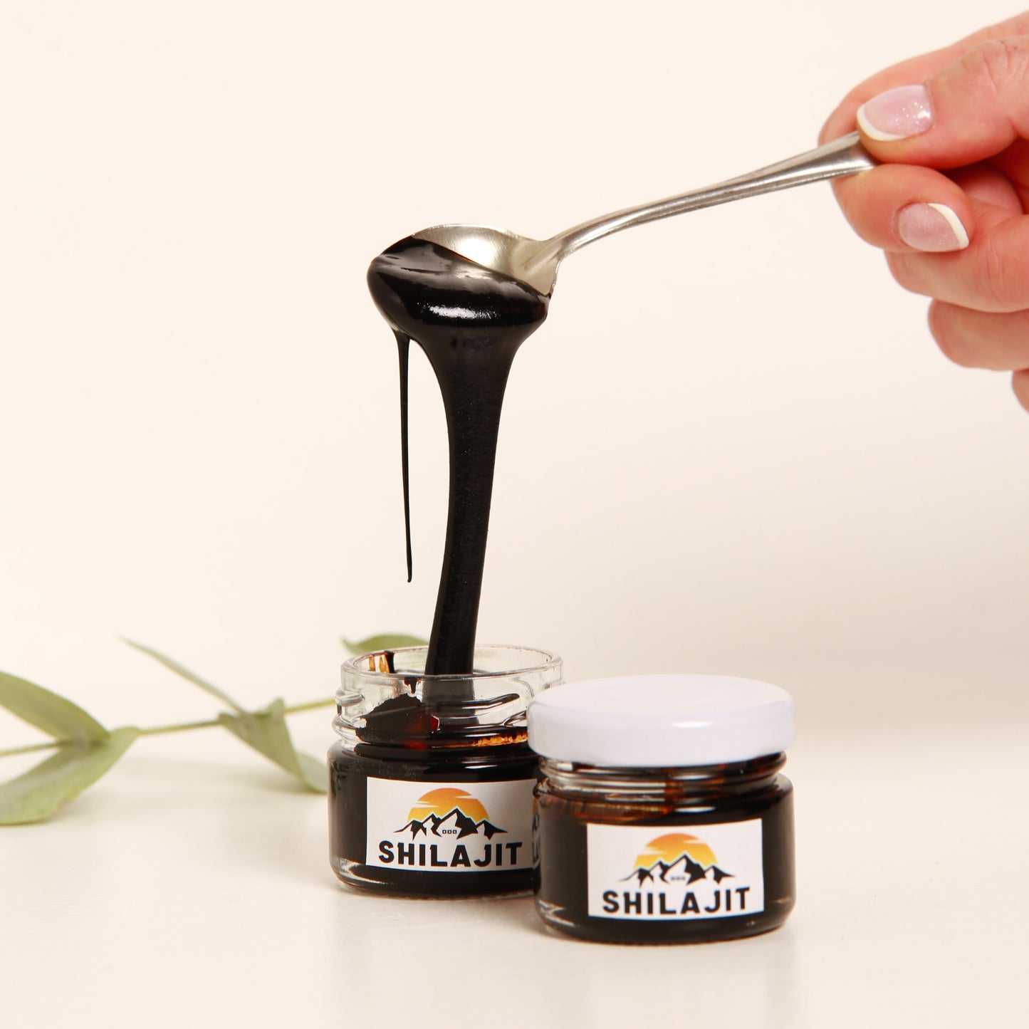 Shilajit harpiks