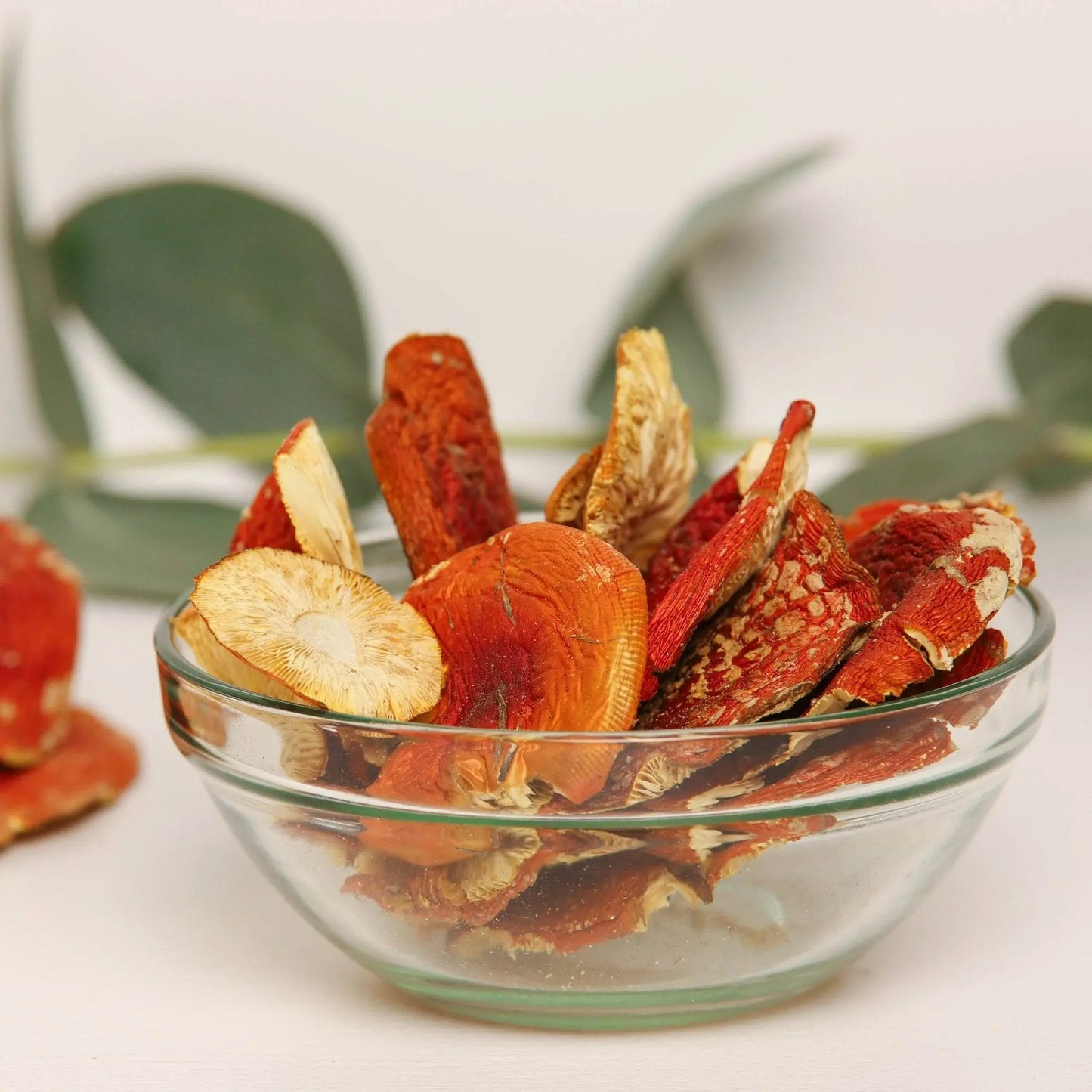 Capsule di Amanita Muscaria.
