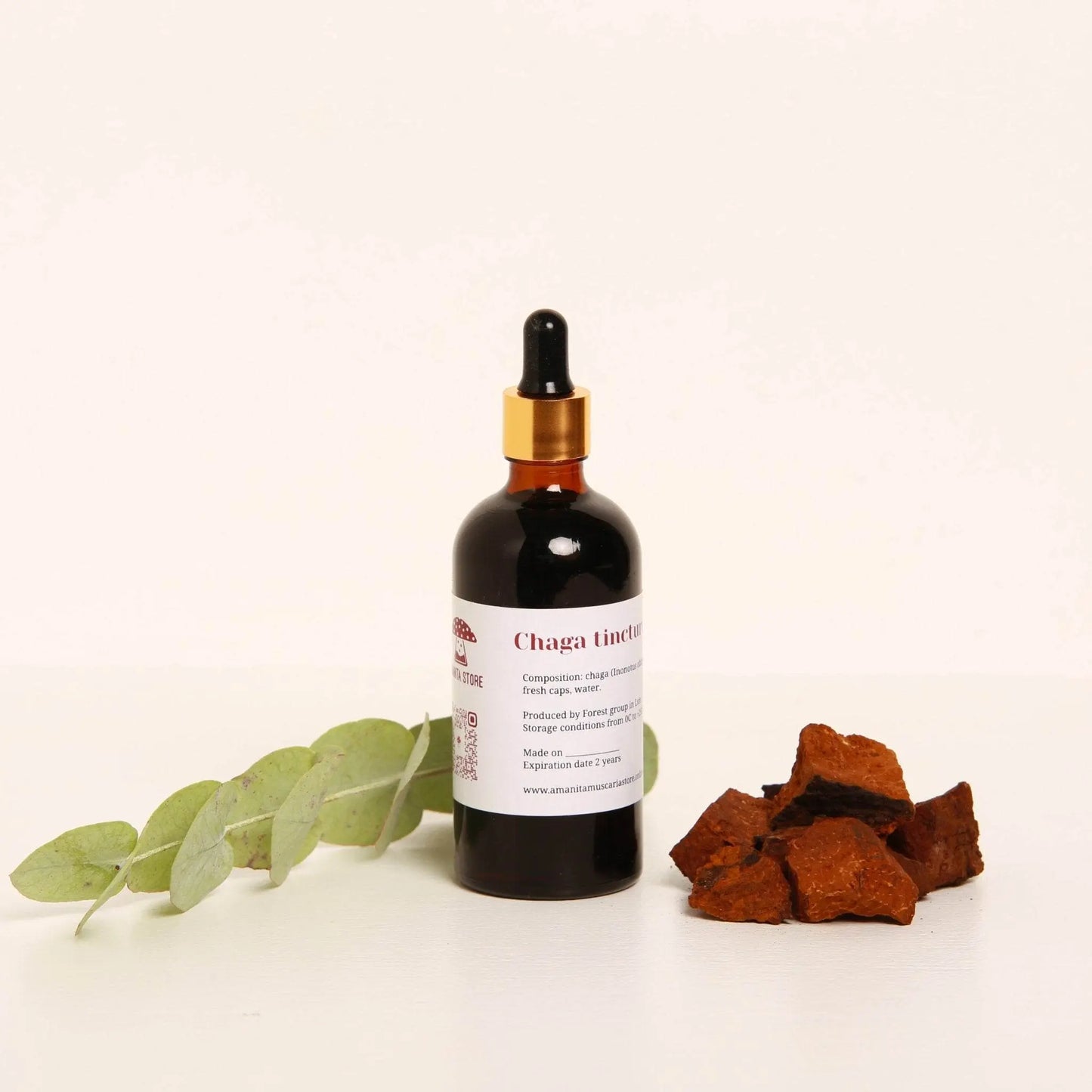 Tintura de Chaga (Inonotus obliquus).