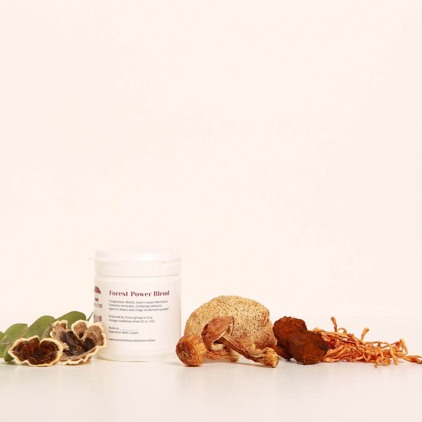 Forest Power Blend - Amanita Store