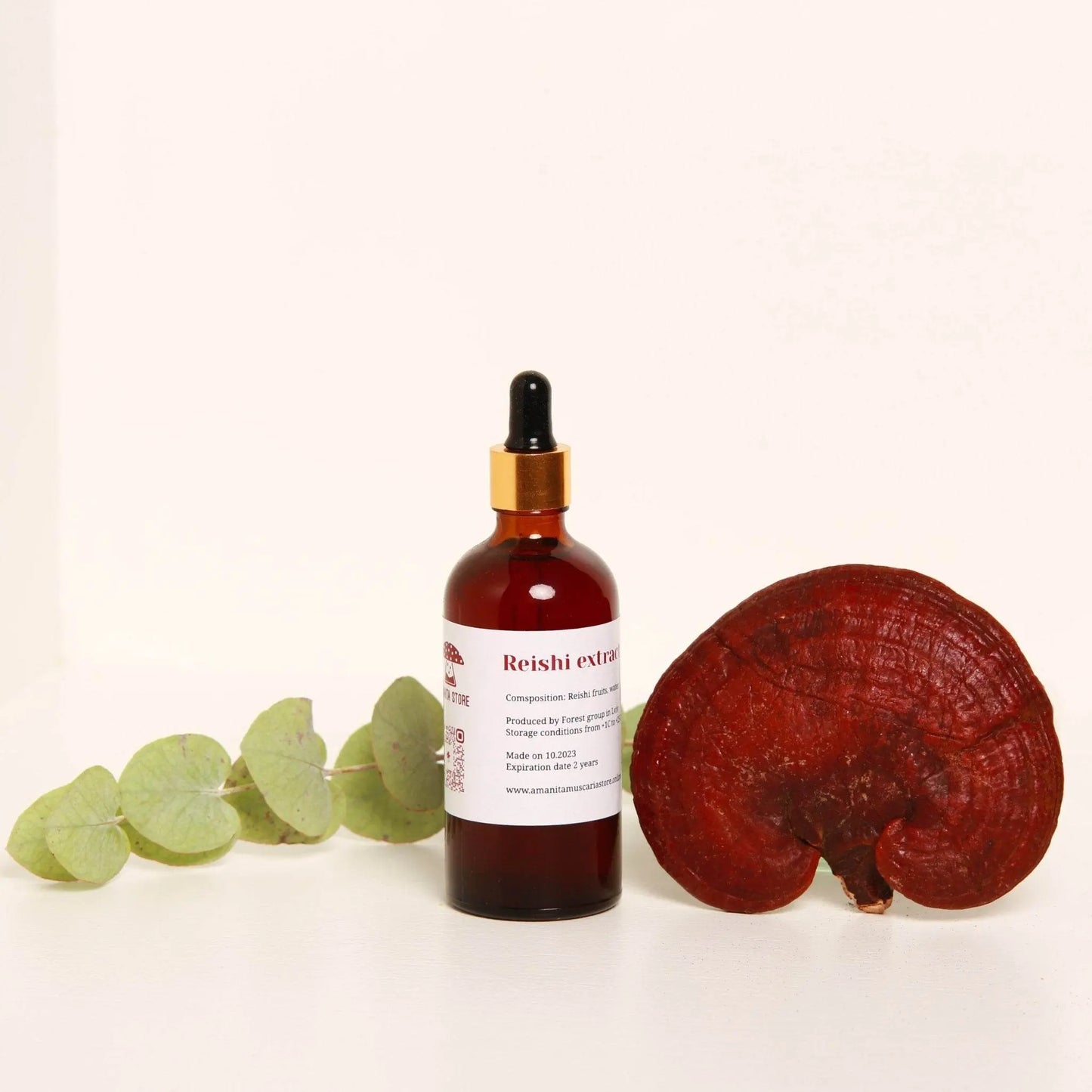 Reishi-Tinktur – Doppelte Extraktion aus frischen, biologisch angebauten Fruchtkörpern.