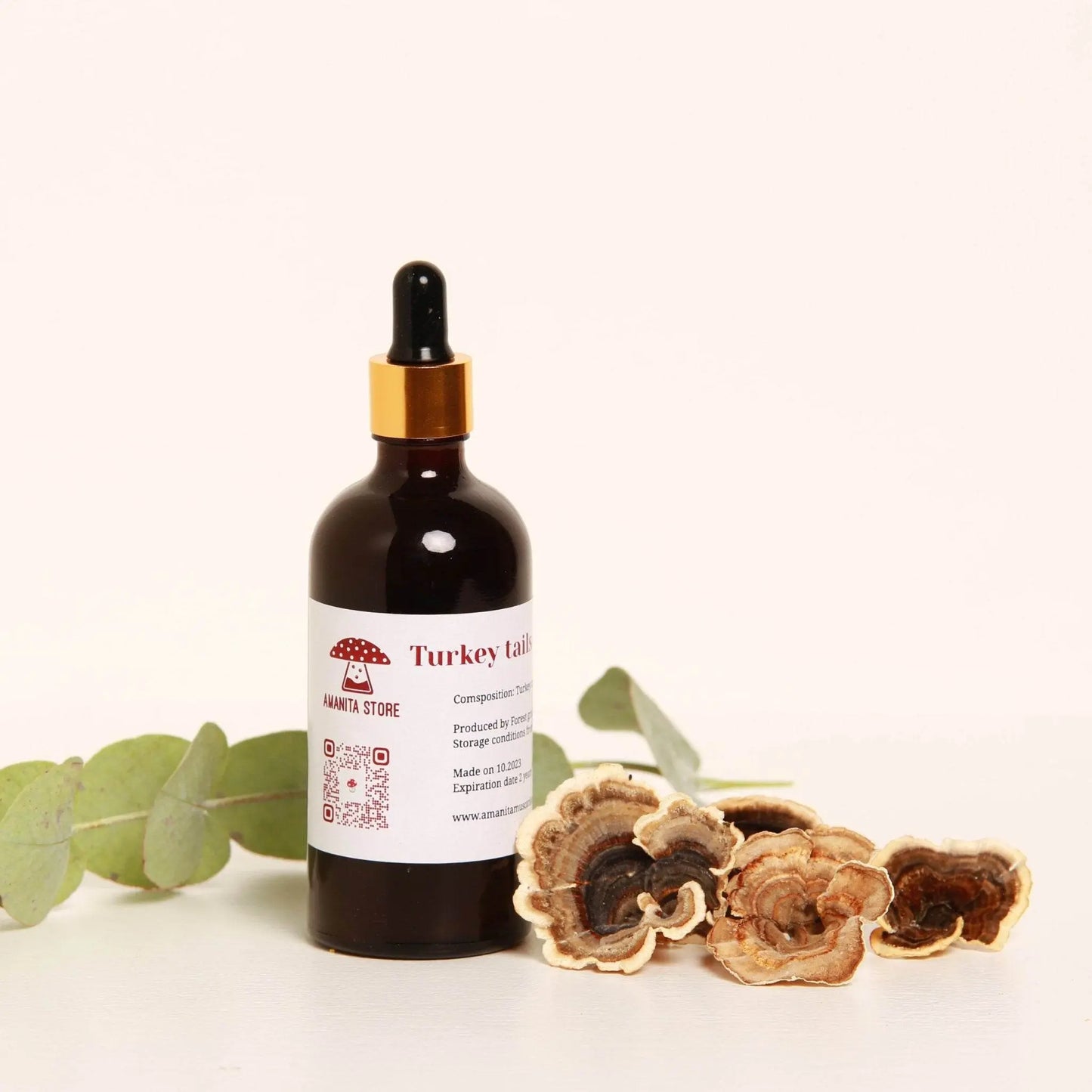 Trametes versicolor チンキ剤 – 新鮮な有機子実体からの二重抽出。