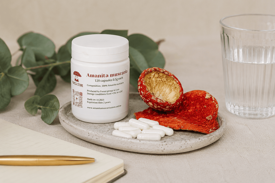 A New Angle: How Amanita Muscaria May Offer Unique Cognitive Support Beyond Traditional Paths - Amanita Store