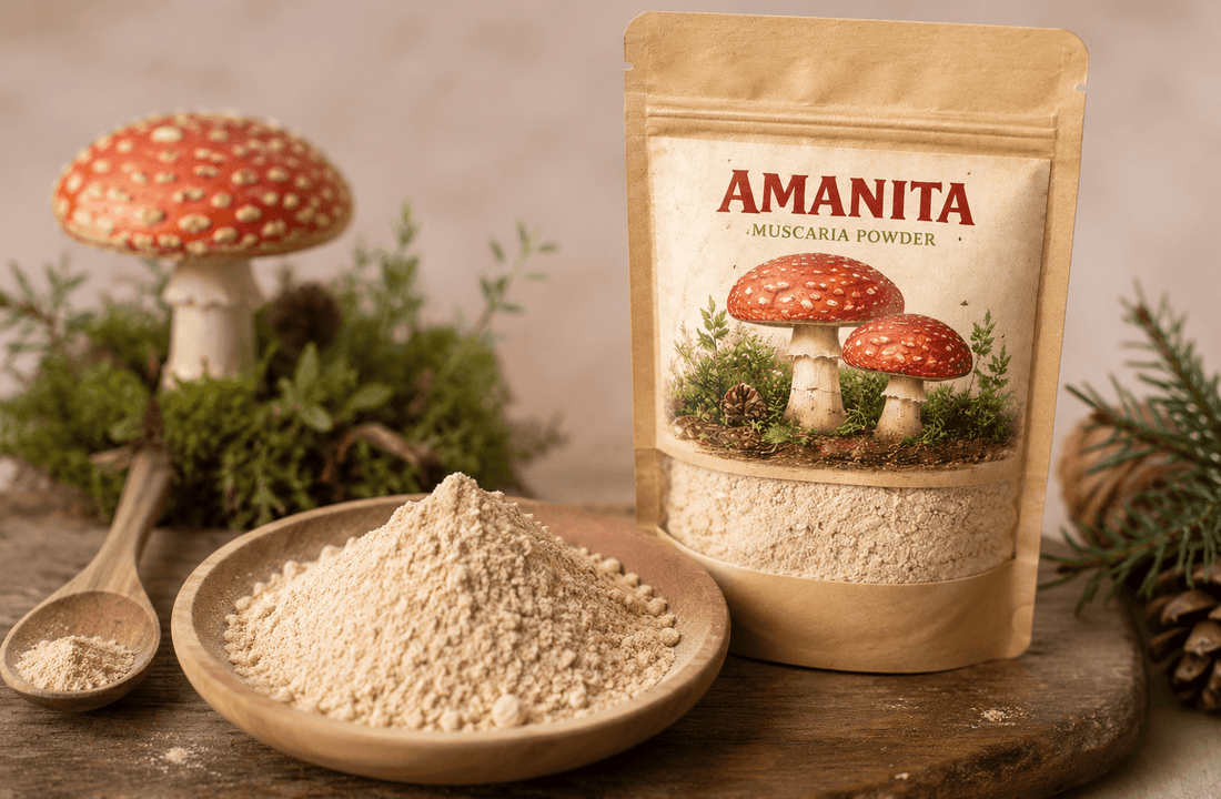Amanita Muscaria Powder for Natural Mood Support - Amanita Store