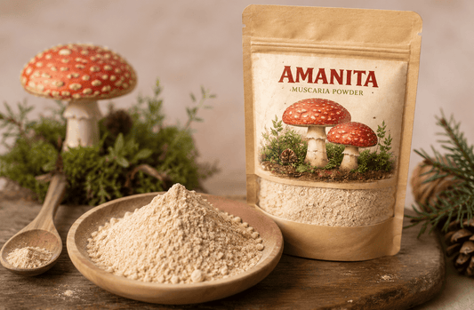 Amanita Muscaria Powder for Natural Mood Support - Amanita Store