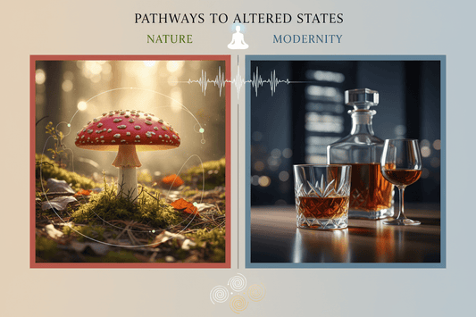 Amanita Muscaria vs. Alcohol: A Holistic Look at Relaxation and Consciousness - Amanita Store
