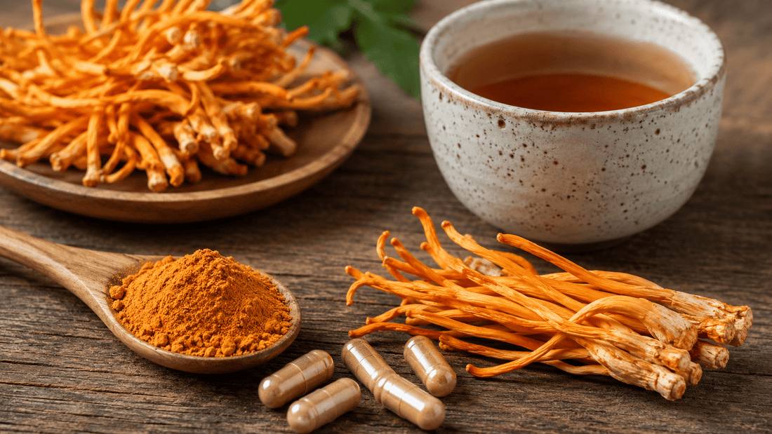 Beyond the Buzz: Unlocking Sustained Energy and Mental Edge with Cordyceps Militaris - Amanita Store