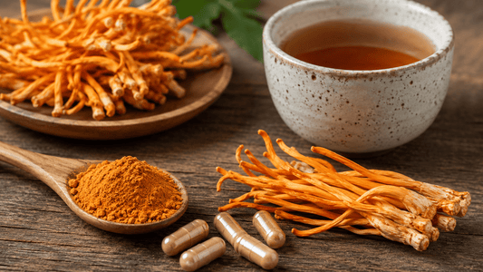 Beyond the Buzz: Unlocking Sustained Energy and Mental Edge with Cordyceps Militaris - Amanita Store