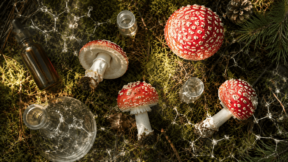 Fliegenpilz entschlüsseln: Ein tieferer Einblick in Dopamin, Neuroeffekte und kognitive Vorteile – Amanita Store