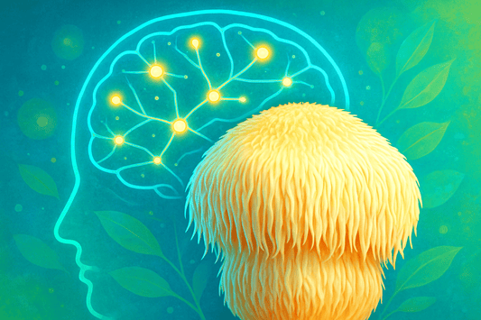 Igel-Stachelbart: Der beste Freund Ihres Gehirns für moderne Produktivität - Amanita Store