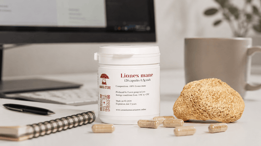 Optimizing Your Daily Grind: Lion's Mane for Enhanced Productivity and Mental Flow - Amanita Store