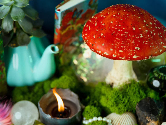 The Fascinating Science Behind Amanita Muscaria - Amanita Store