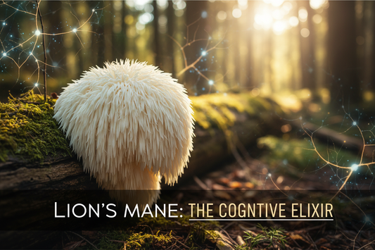 Unleash Your Brain’s Potential: Lion’s Mane Mushroom Guide