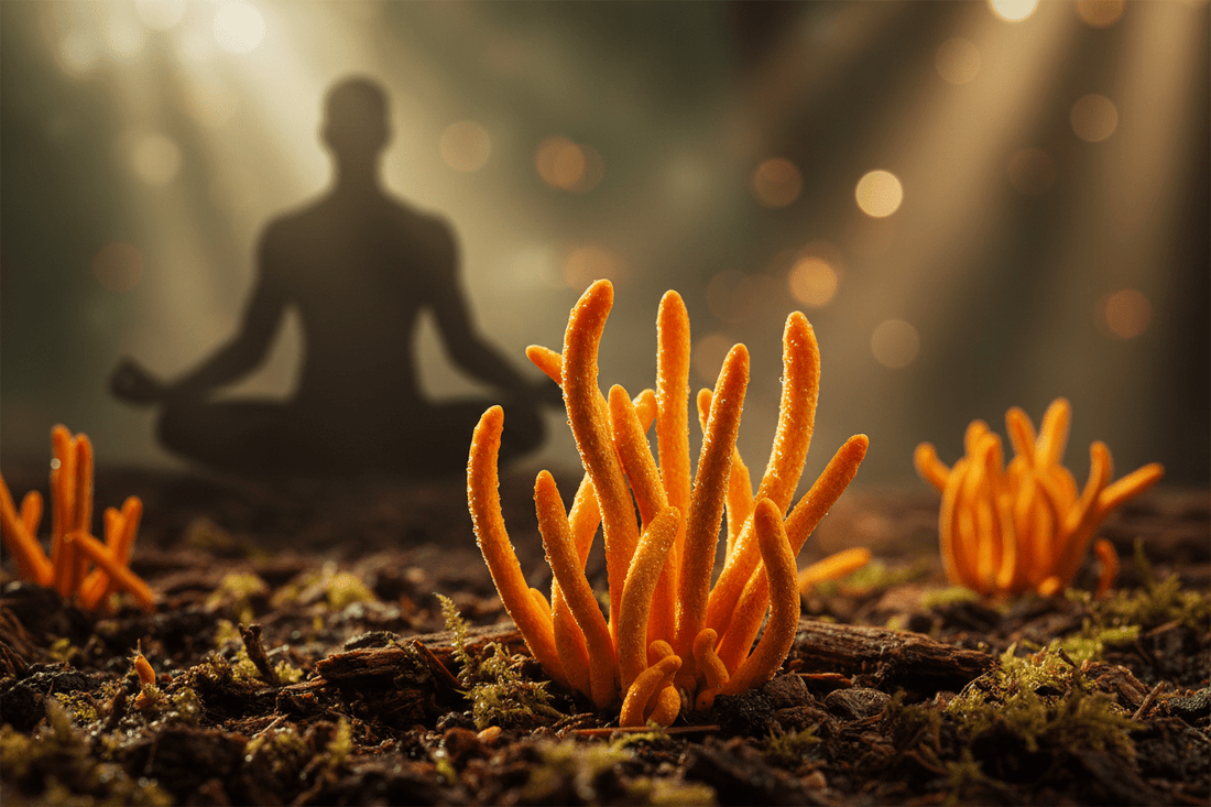 Entfesseln Sie Ihren Inner Athleten: Die Kraft von Puppen-Kernkeule für Stamina und Fokus - Amanita Store