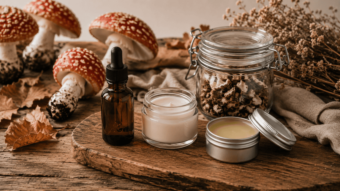 Your Guide to Preparing Amanita Muscaria for Microdosing - Amanita Store