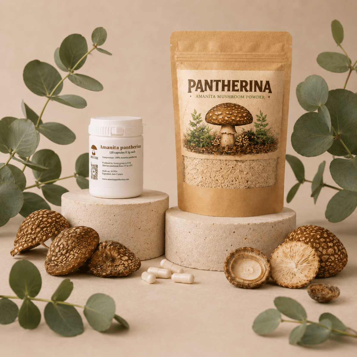 Amanita Pantherina & Regalis - Amanita Store