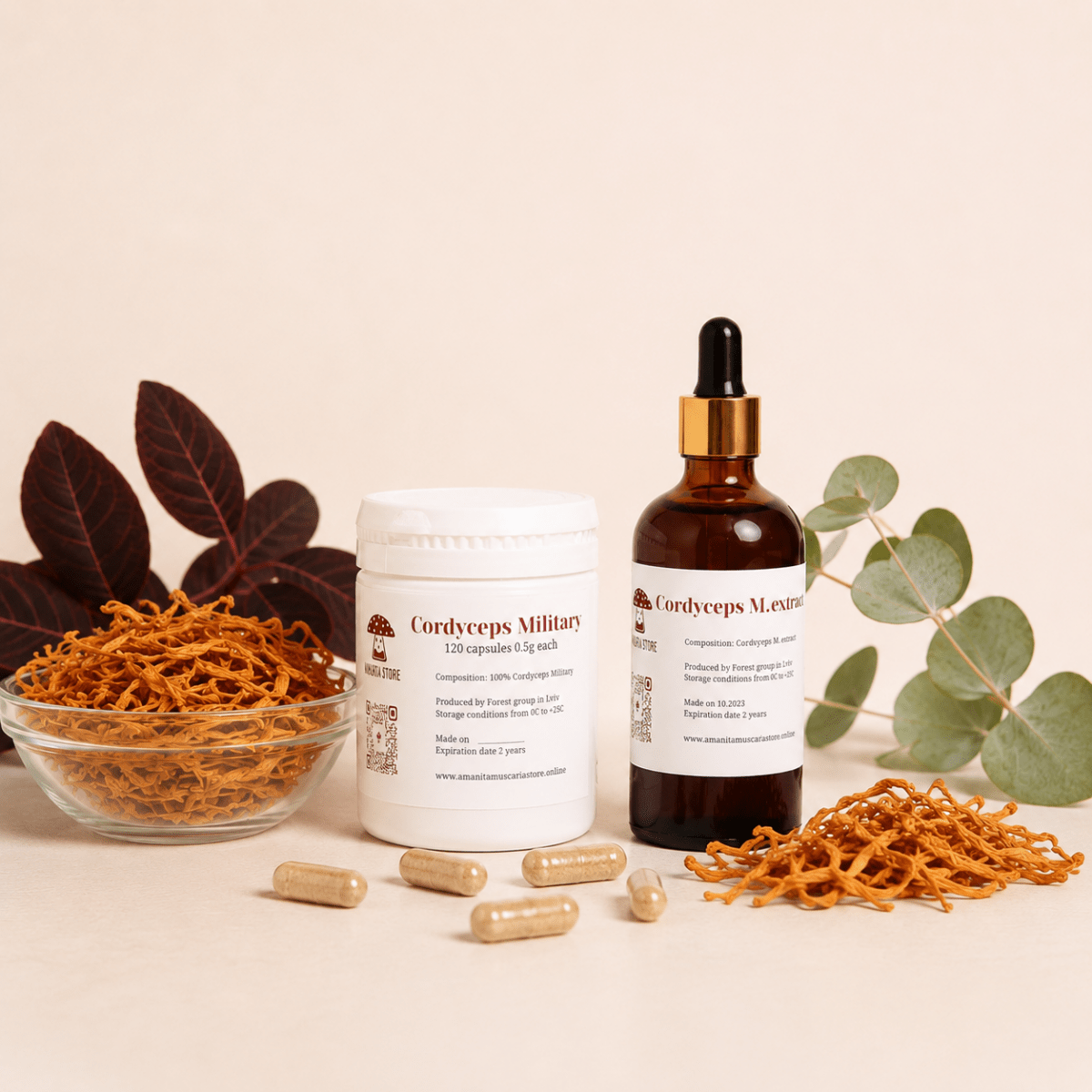 Cordyceps militaris - Amanita Store