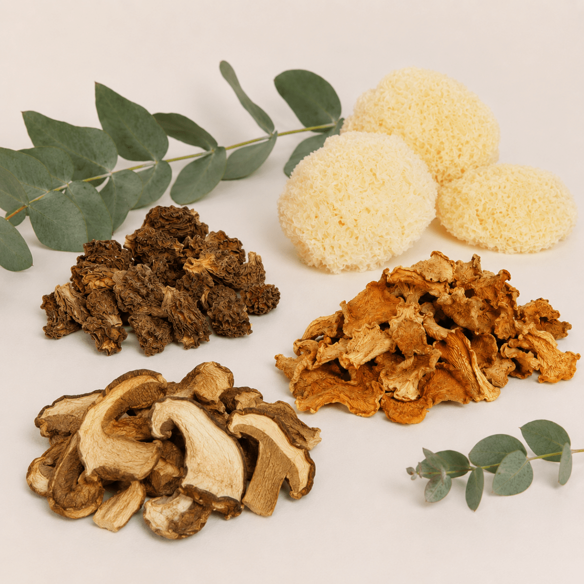 Gourmet Mushrooms - Amanita Store
