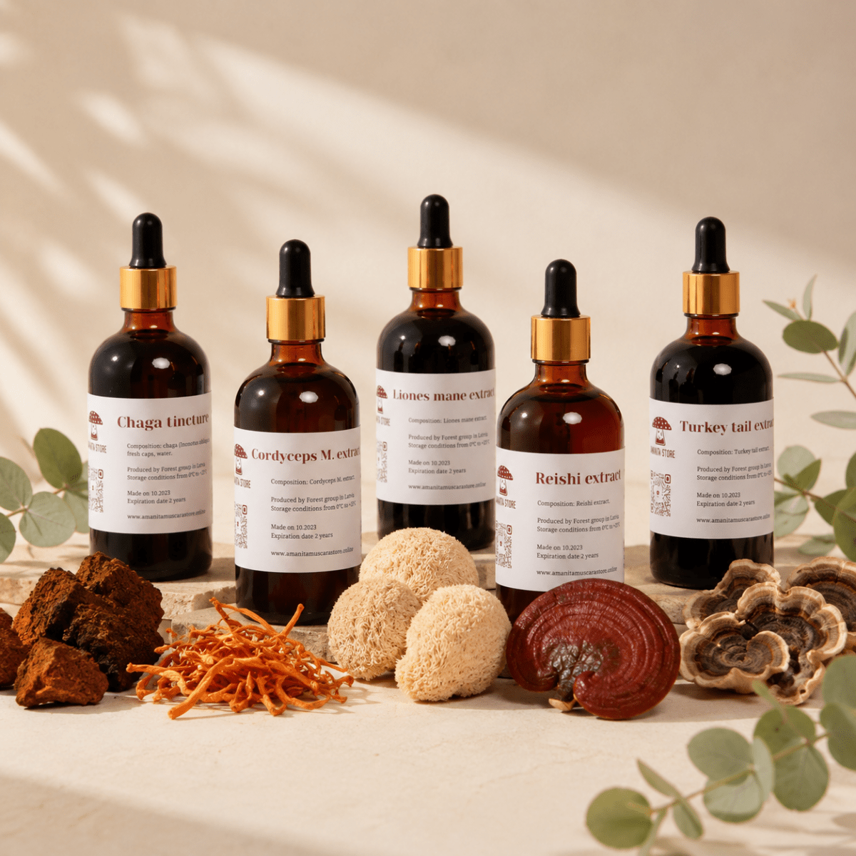 Mushroom Tinctures - Amanita Store