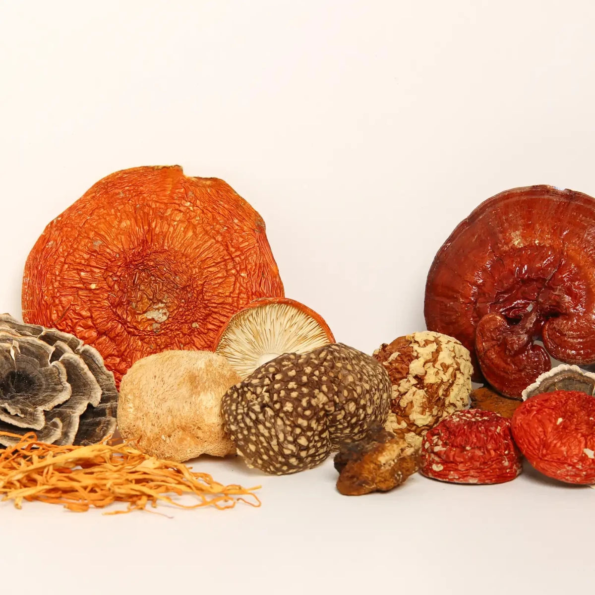 Natural Decor - Amanita Store