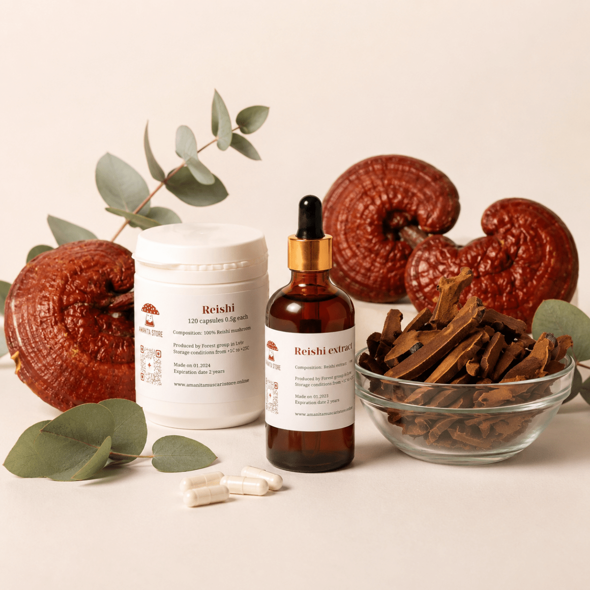 Reishi — Ganoderma lucidum - Amanita Store
