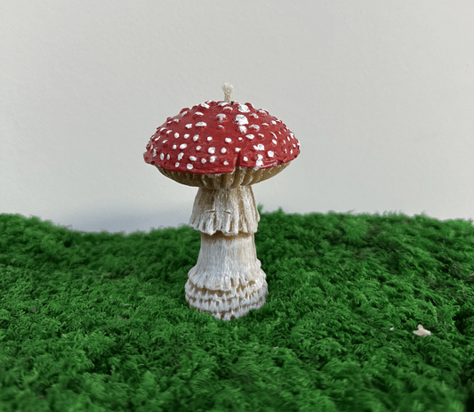 Amanita muscaria Duftkerze