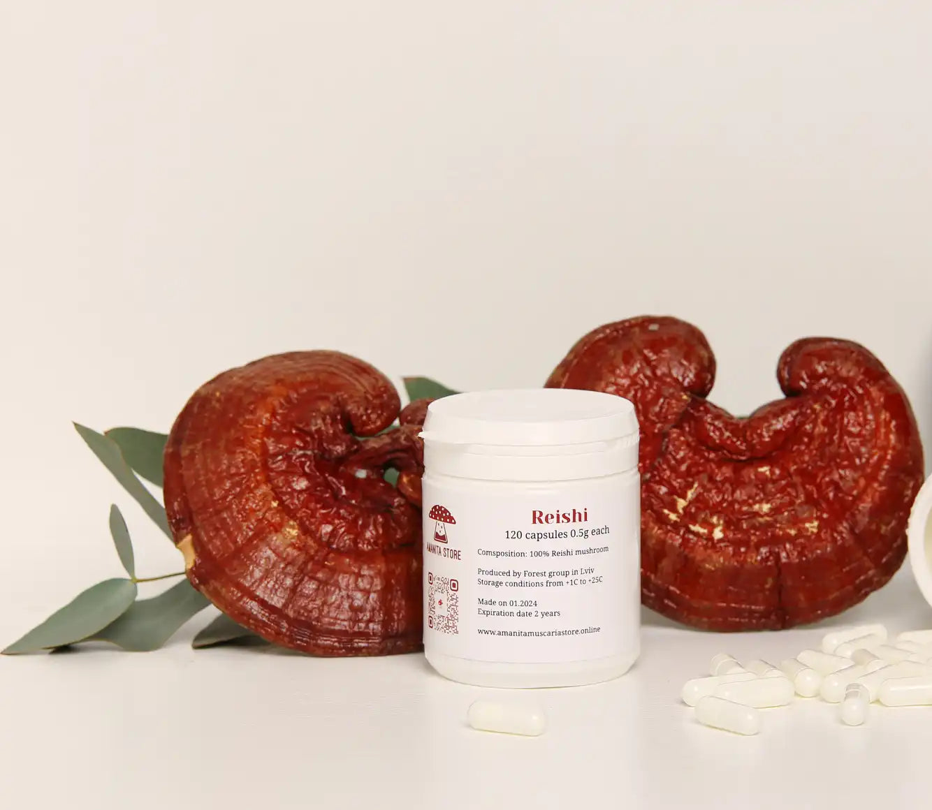 Reishi Kapseln