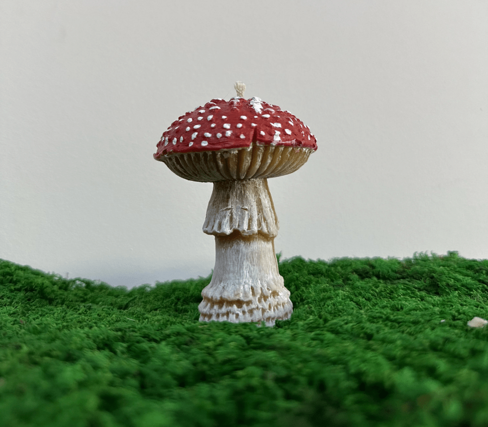 Amanita muscaria Duftkerze