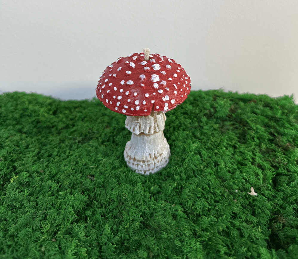 Amanita muscaria Duftkerze