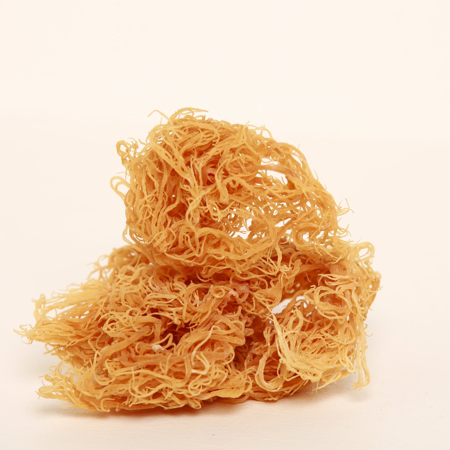 Bio-Seemoos-Algen (Irish Moss)