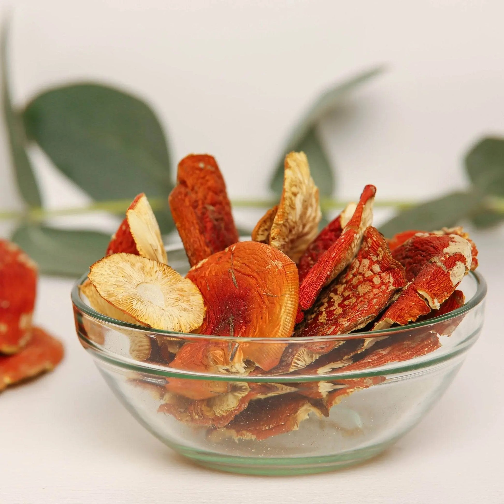 Capsule di Amanita Muscaria.
