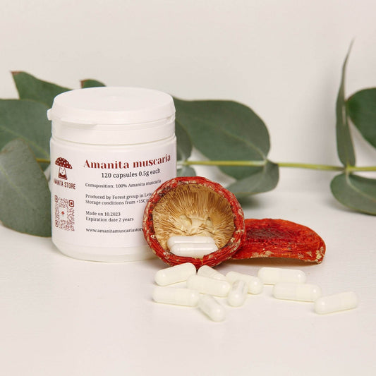 Amanita Muscaria Capsules - Amanita Store