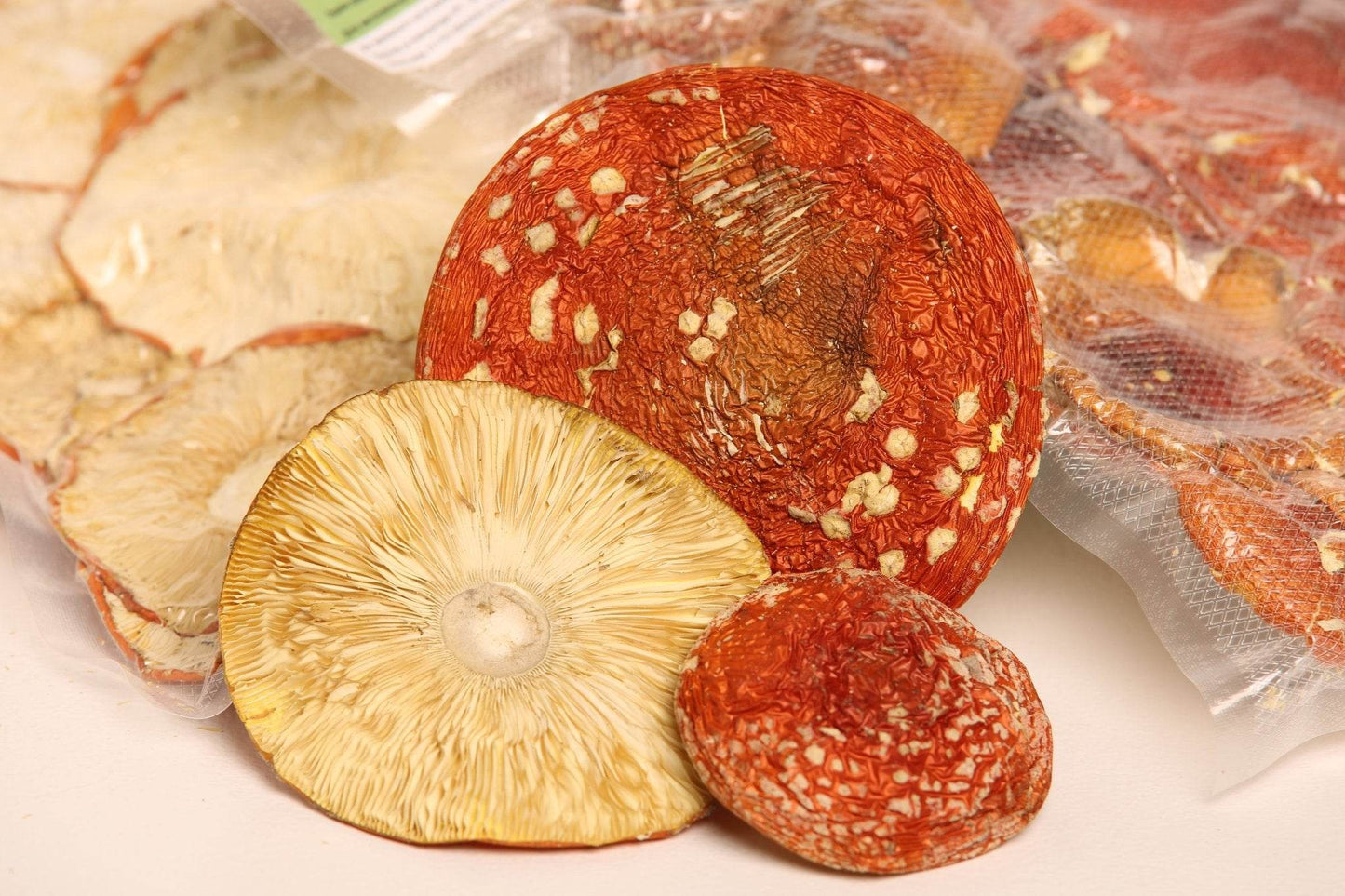 Amanita muscaria - qualité A.