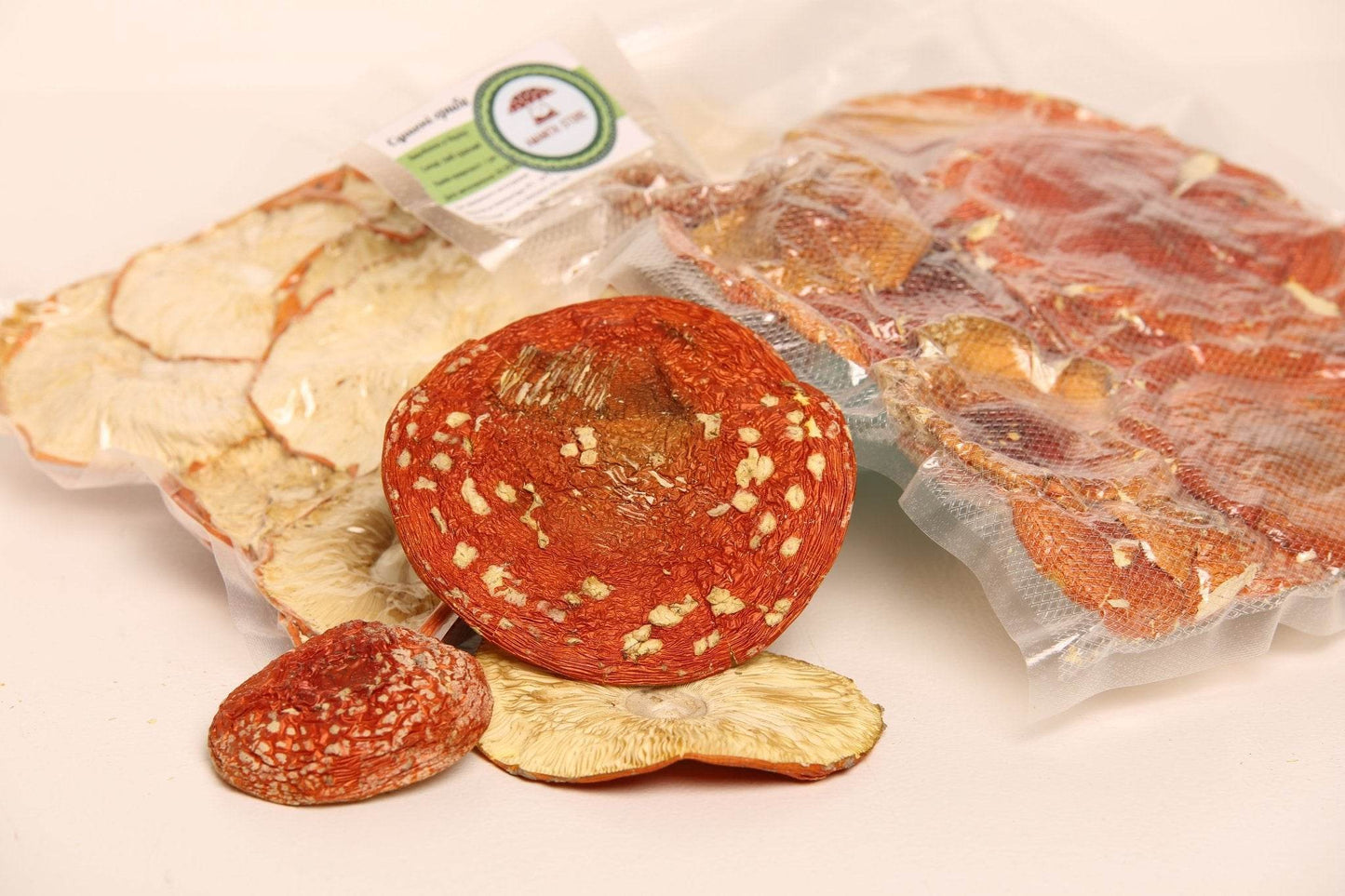 Amanita muscaria - qualité A.