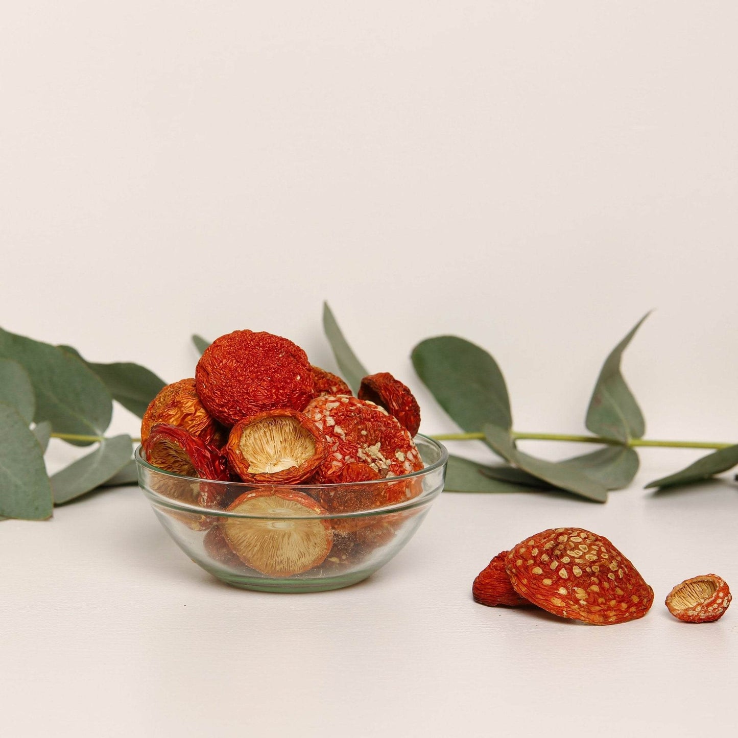 Amanita muscaria Premium.