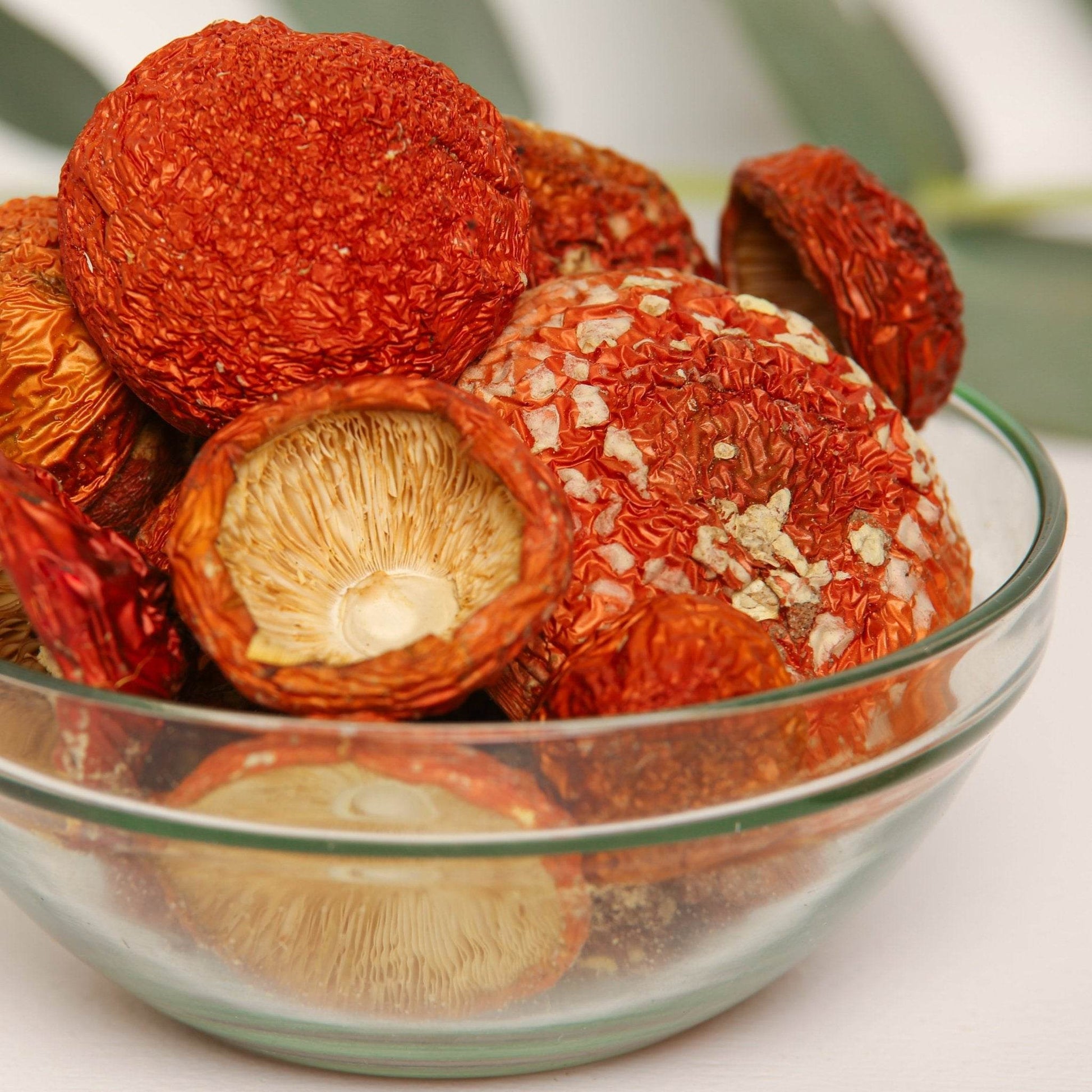 Amanita muscaria Premium.