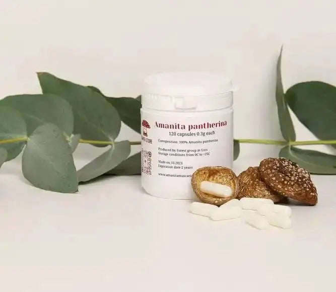 Capsule di incenso di Amanita pantherina.