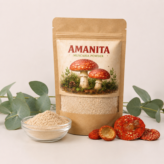 Amanita Muscaria Powder – Premium Fly Agaric Mushroom Extract