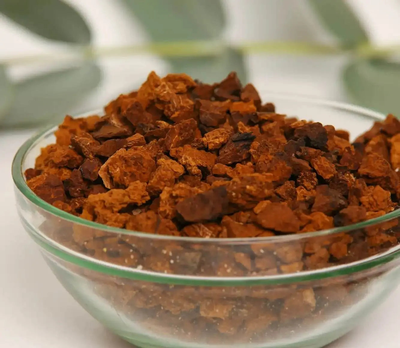 Estratto di Chaga di prima qualità per rafforzare naturalmente il sistema immunitario e migliorare la tua routine di benessere con un lusso senza pari