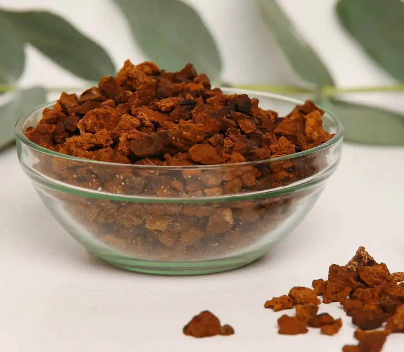 Estratto di Chaga di prima qualità per rafforzare naturalmente il sistema immunitario e migliorare la tua routine di benessere con un lusso senza pari