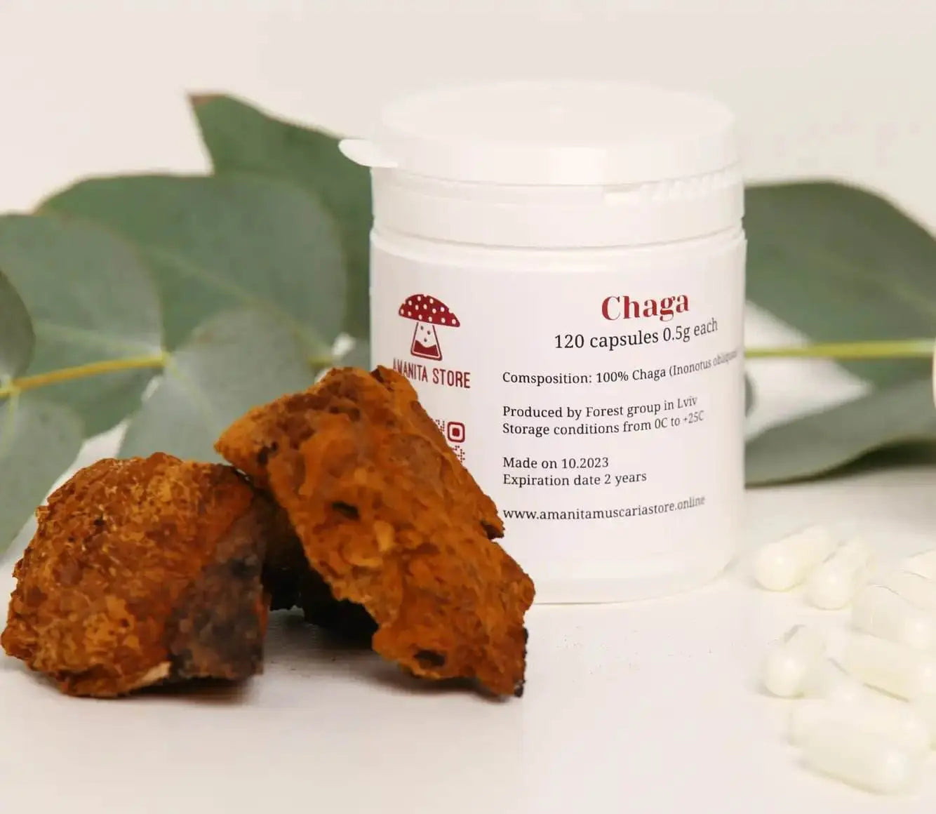 Cápsulas de Chaga (Inonotus obliquus).