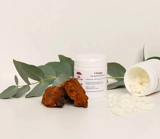 Cápsulas de Chaga (Inonotus obliquus).