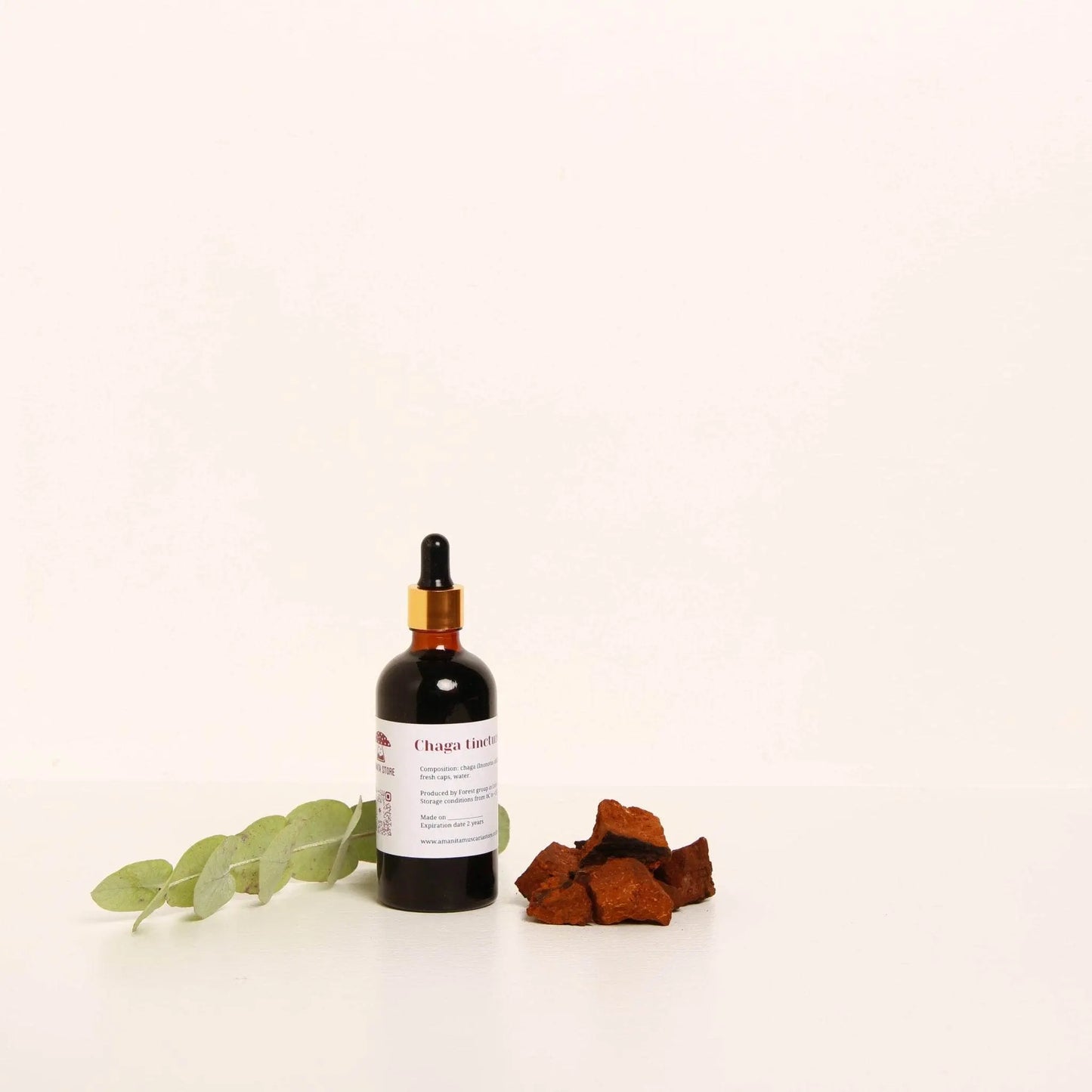 Tintura de Chaga (Inonotus obliquus).