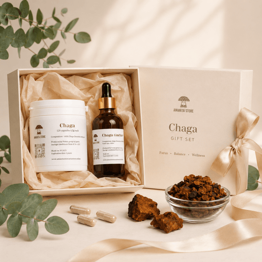 Chaga Mushroom Gift Set — Tincture, Capsules & Dried - Amanita Store