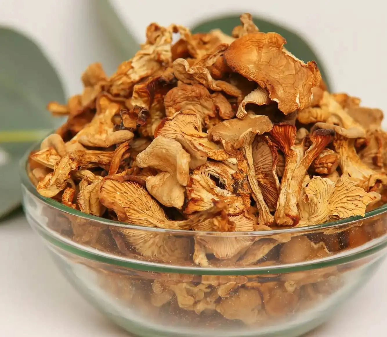 Cogumelos chanterelle desidratados que proporcionam um toque de sabor natural a receitas gourmet e excelência culinária.