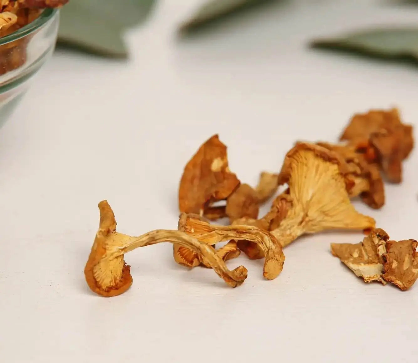 Cogumelos chanterelle desidratados que proporcionam um toque de sabor natural a receitas gourmet e excelência culinária.
