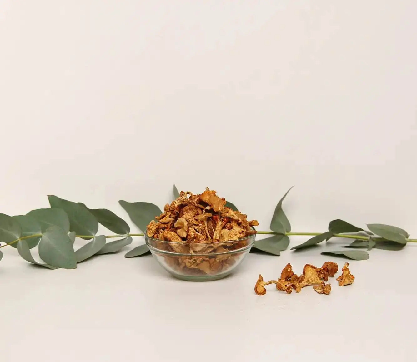 Cogumelos chanterelle desidratados que proporcionam um toque de sabor natural a receitas gourmet e excelência culinária.